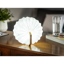 画像をギャラリービューアに読み込む, 【Gingko Design】 ギンコーデザイン アコーディオンランプ バンブー 蛇腹