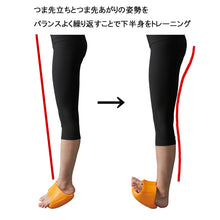 画像をギャラリービューアに読み込む, AKAISHI(アカイシ)バランストーン・ラージ HB081 履くだけ美脚・O脚補正 ユニセックス 美脚