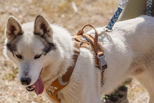 画像をギャラリービューアに読み込む, フルッタ (Hurtta)ウォーリアハーネス (80-100cm)