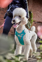 画像をギャラリービューアに読み込む, フルッタ (Hurtta)ウォーリアハーネス (80-100cm)