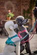 画像をギャラリービューアに読み込む, フルッタ (Hurtta)ウォーリアハーネス (80-100cm)