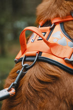 画像をギャラリービューアに読み込む, フルッタ (Hurtta)ウォーリアハーネス (80-100cm)