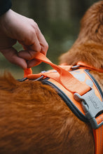 画像をギャラリービューアに読み込む, フルッタ (Hurtta)ウォーリアハーネス (80-100cm)