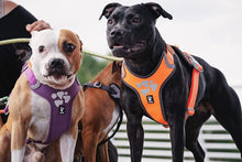 画像をギャラリービューアに読み込む, フルッタ (Hurtta)ウォーリアハーネス (80-100cm)