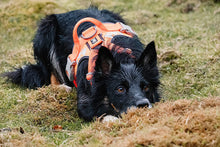 画像をギャラリービューアに読み込む, フルッタ (Hurtta)ウォーリアハーネス (80-100cm)