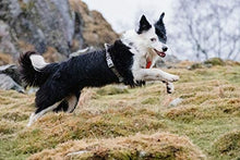 画像をギャラリービューアに読み込む, フルッタ (Hurtta) ベンチャーハーネス 60-80cm