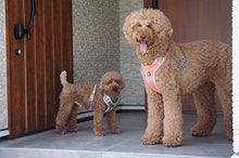 画像をギャラリービューアに読み込む, フルッタ (Hurtta) ベンチャーハーネス 60-80cm