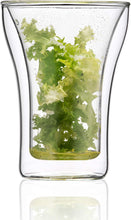 画像をギャラリービューアに読み込む, 【BODUM】 ボダム ASSAM アッサム ダブルウォール グラス 250ml 2個セット 【正規品】 4556-10
