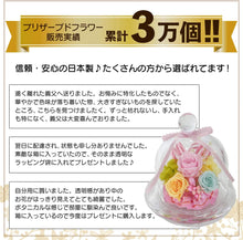 画像をギャラリービューアに読み込む, 【NICHIFLRO】ニチフロ プリザーブドフラワー プリザドーム 玉響