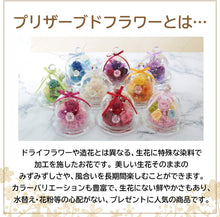 画像をギャラリービューアに読み込む, 【NICHIFLRO】ニチフロ プリザーブドフラワー プリザドーム 玉響