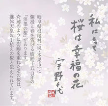 画像をギャラリービューアに読み込む, 日本香堂 宇野千代のお線香 淡墨の桜 桐箱サック6箱入