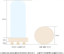 画像をギャラリービューアに読み込む, プリザーブドフラワー仏花 お供え花 お仏壇用 ガラスドームアレンジメント C20030L 羽衣(はごろも)