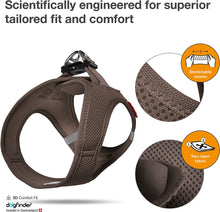 画像をギャラリービューアに読み込む, curli(カーリー) ベストエアメッシュハーネス XL
