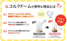 画像をギャラリービューアに読み込む, 【Paseo パセオ】ガラスドーム ウッドガラスドーム ブラック 20×20×32.5cm