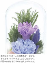 画像をギャラリービューアに読み込む, プリザーブドフラワー仏花 お供え花 お仏壇用 ガラスドームアレンジメント 光莉(ひかり)