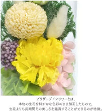画像をギャラリービューアに読み込む, プリザーブドフラワー仏花 お供え花 お仏壇用 ガラスドームアレンジメント 紗千(さち)