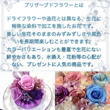 画像をギャラリービューアに読み込む, NICHIFLRO ニチフロ プリザーブドフラワー お線香 ガラスドームパープル 日本製