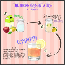 画像をギャラリービューアに読み込む, 【The Ferment Company】 Waterkefir Starter ウォーターケフィア 水ケフィア 粉末 発酵飲料 グルテンフリー 乳製品不使用 GMO Free 犬 猫 ペット