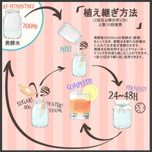 画像をギャラリービューアに読み込む, 【The Ferment Company】 Waterkefir Starter ウォーターケフィア 水ケフィア 粉末 発酵飲料 グルテンフリー 乳製品不使用 GMO Free 犬 猫 ペット