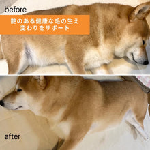 画像をギャラリービューアに読み込む, 【Refuresh】 ペット抜け毛除去専用ブラシ リファーレッシュブラシ ディシェーディングブラシ