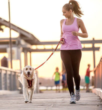 画像をギャラリービューアに読み込む, EZYDOG(イージードッグ) ハンディリード