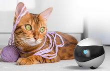 画像をギャラリービューアに読み込む, Enabot EBO SE ペットカメラ お友達ロボット スマートペットロボット 見守りカメラ 声掛けマイク 屋内 家庭用カメラ 見守りカメラ こども お子様 介護 お年寄り WiFi スマホ 遠隔操作 双方向音声通話 リアルタイム 動画視聴 写真動画撮影 ナイトビジョン 暗視 猫 犬