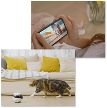 画像をギャラリービューアに読み込む, Enabot EBO SE ペットカメラ お友達ロボット スマートペットロボット 見守りカメラ 声掛けマイク 屋内 家庭用カメラ 見守りカメラ こども お子様 介護 お年寄り WiFi スマホ 遠隔操作 双方向音声通話 リアルタイム 動画視聴 写真動画撮影 ナイトビジョン 暗視 猫 犬