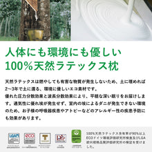 画像をギャラリービューアに読み込む, 【本体のみ】 100%天然ラテックス 指圧枕〈ISP〉※カバーは別売り