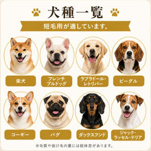 画像をギャラリービューアに読み込む, 【 Refuresh 】スリッカーブラシ ショートヘア 犬 猫 ペット 抜け毛 マッサージ グルーミング用 軽量ブラシ ブラシ 短毛 （ 短毛種用 赤 ）
