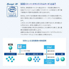 画像をギャラリービューアに読み込む, [ VetSolution ] 猫用 腎臓サポート 400g ベッツソリューション [ 猫用療法食 ] キャットフード グレインフリー 腎臓 獣医師 ドライフード 猫 キャット
