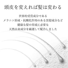 画像をギャラリービューアに読み込む, [ Dr.TOUHI ] トリートメント 300ml 毛髪専門クリニック開発商品 ドクタートウヒ TREATMENT 白髪 くせ毛 フケかゆみ 匂い 乾燥 頭皮 ユニセックス 男女兼用 髪 髪の毛 トラブル
