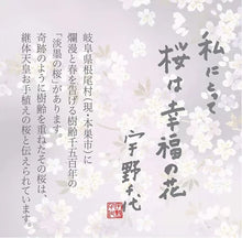 画像をギャラリービューアに読み込む, 日本香堂 宇野千代のお線香 淡墨の桜 桐箱サック6箱入
