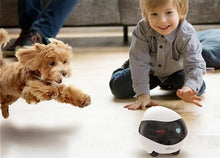 画像をギャラリービューアに読み込む, Enabot EBO SE ペットカメラ お友達ロボット スマートペットロボット 見守りカメラ 声掛けマイク 屋内 家庭用カメラ 見守りカメラ こども お子様 介護 お年寄り WiFi スマホ 遠隔操作 双方向音声通話 リアルタイム 動画視聴 写真動画撮影 ナイトビジョン 暗視 猫 犬
